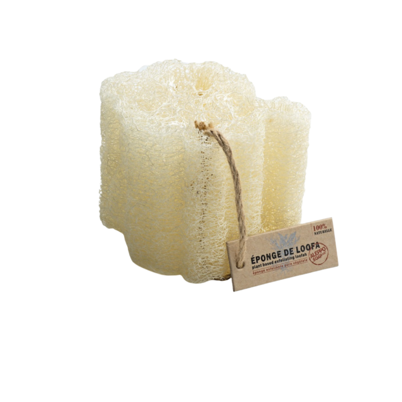 Éponge de Loofa | Cinier B