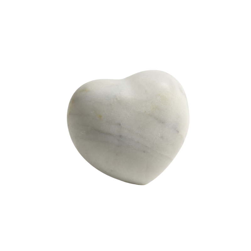 Cœur de Loofa | Cinier B