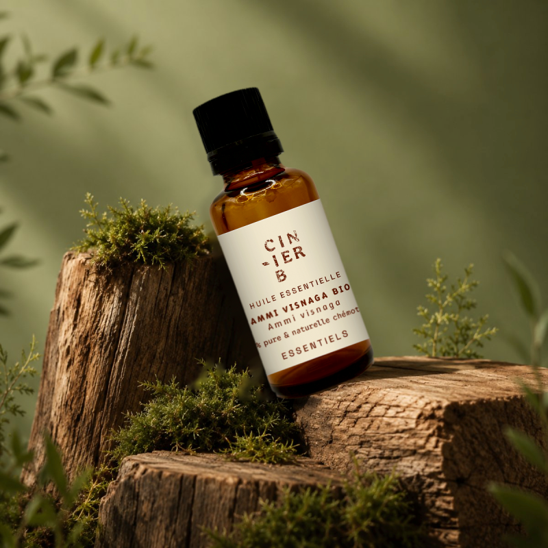 ROUTINE - RITUEL CONFIANCE