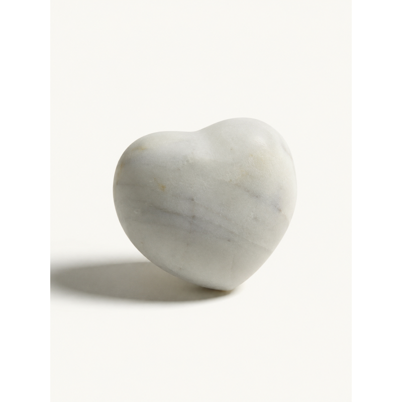 Cœur de Loofa | Cinier B