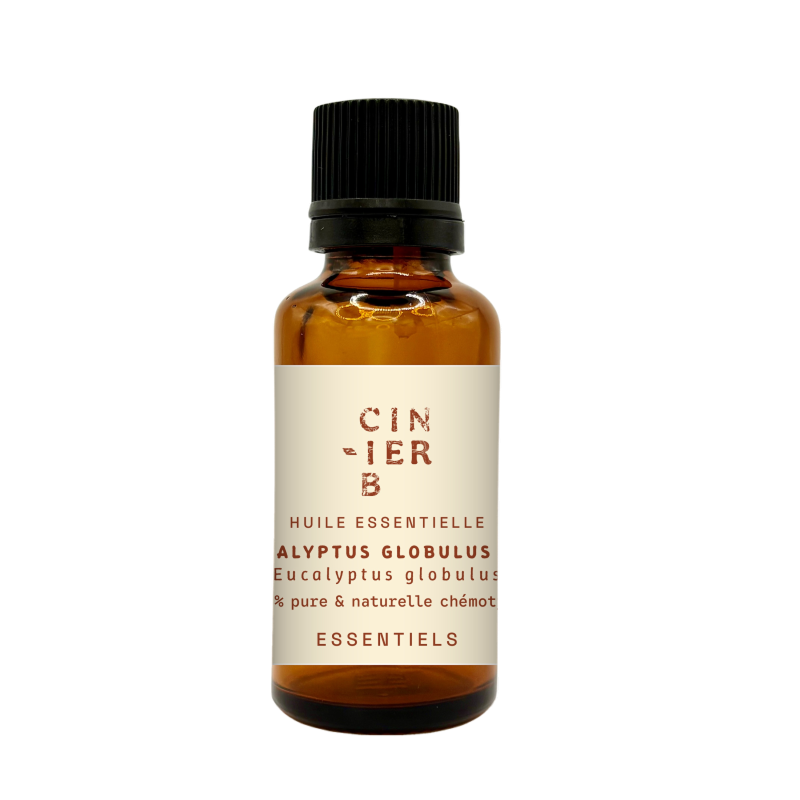 Huile Essentielle Eucalyptus Globulus Bio | Cinier B