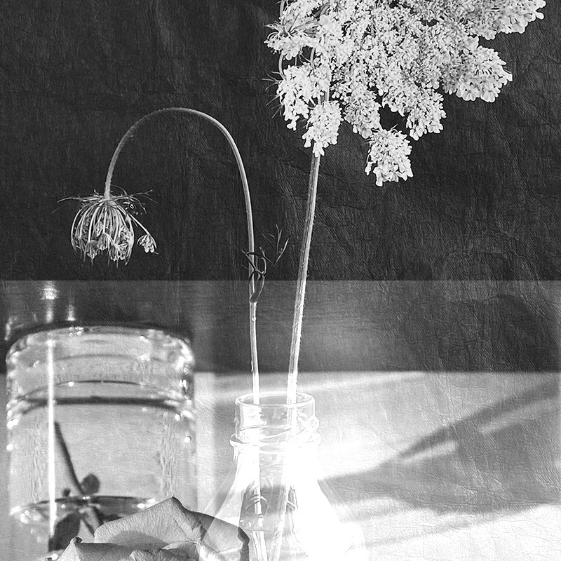 Utiliser les huiles essentielles