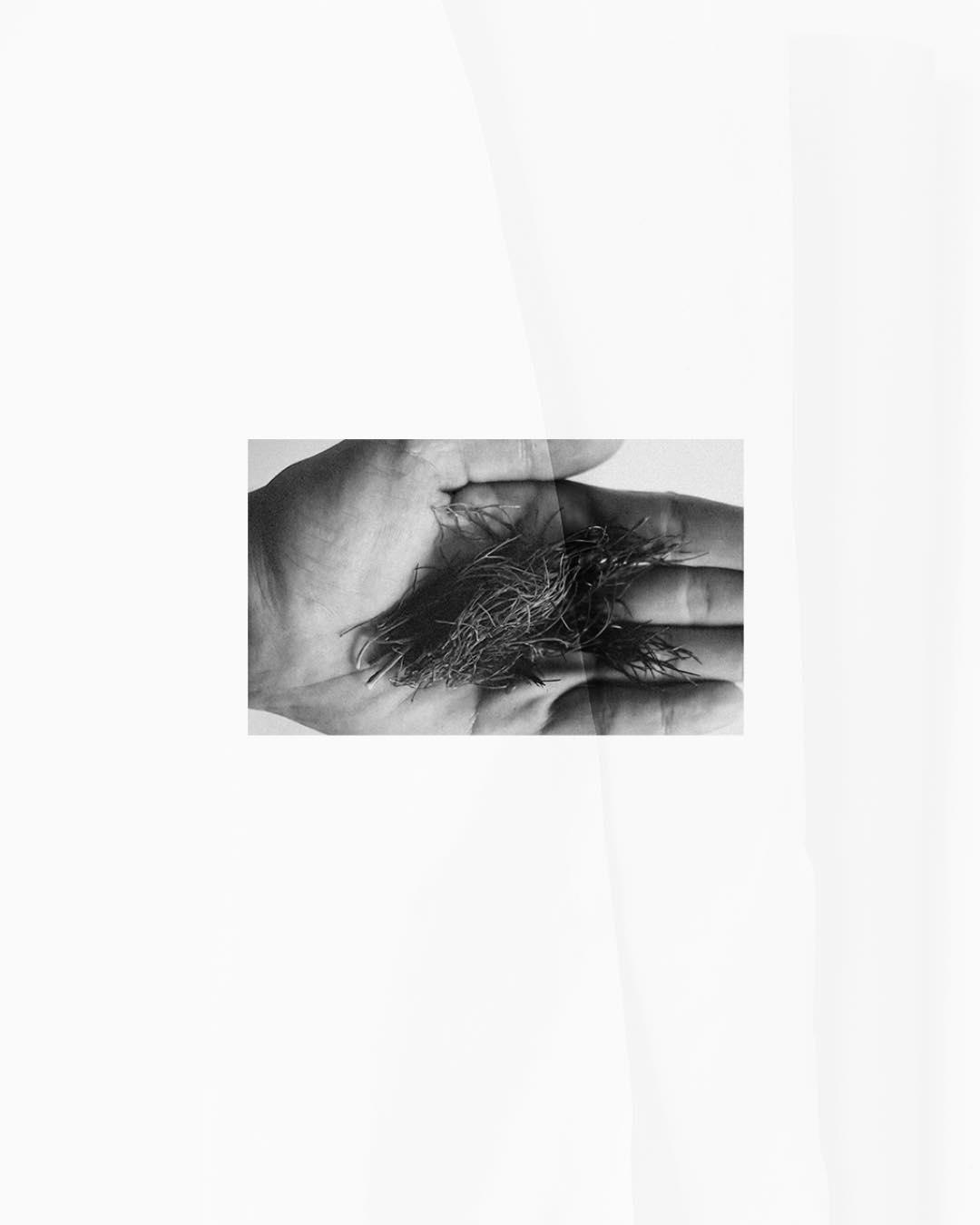 Depuis près de 40 ans, Cinier B grandit, évolue et se réinvente.
 
Aujourd'hui, une nouvelle étape se prépare.
 
Une manière différente de raconter notre histoire, de partager notre savoir-faire et de faire vivre l'univers Cinier B.
 
Mais ce qui fait notre force depuis 1986 reste inchangé :
la qualité de nos formules, notre expertise et notre exigence.
 
L'essentiel est toujours là. 🌿
 
La suite arrive bientôt...
 
#cinierb #naturellementefficace #teasing #soinnaturel #aromatherapie #cosmetique
#soin #huileessentielle #skincare #routine #beaute #huile